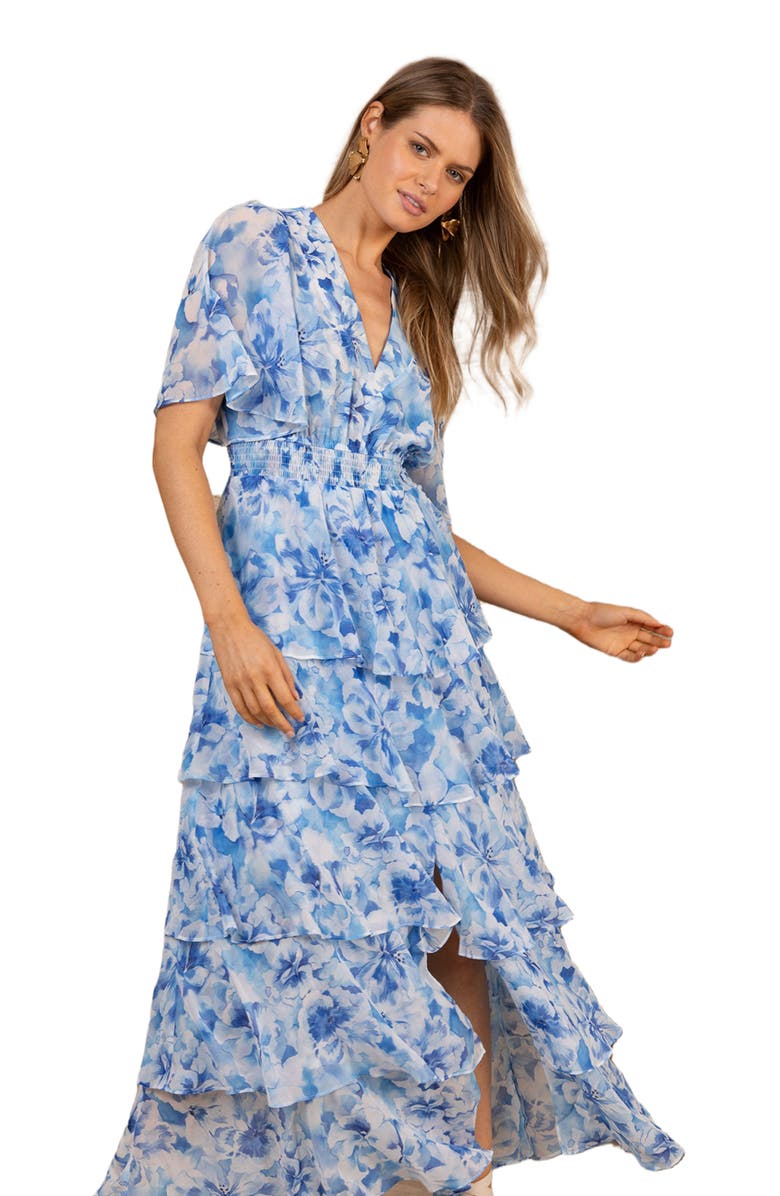 Hale Bob Kallie Chiffon Maxi Dress, Alternate, color, 