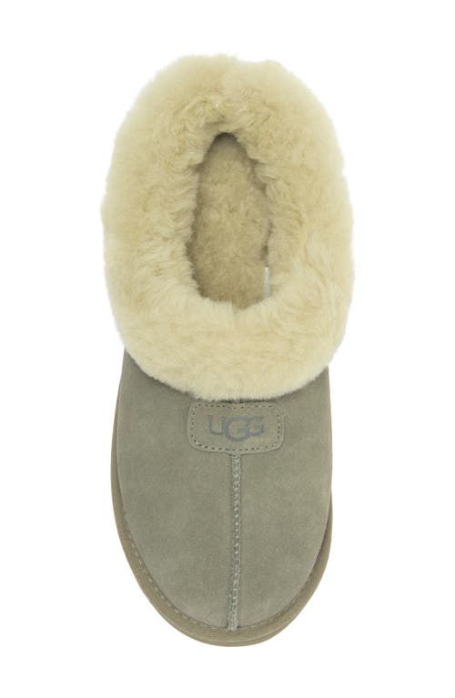 Ugg(r) Tazzette Genuine Shearling Collar Slipper