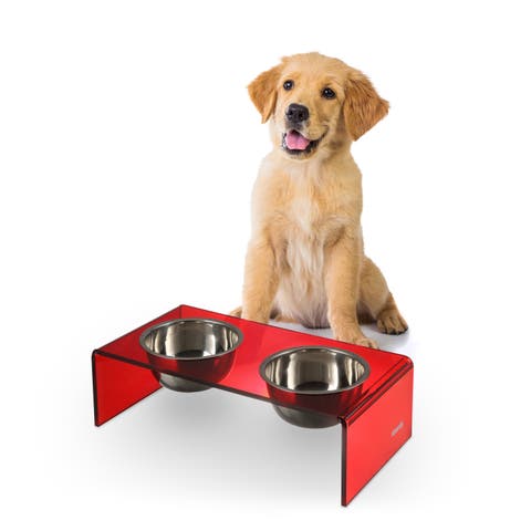 Keaton Modern Lucite Rectangular Elevated Pet Feeder with 2-Stainless Steel Bowls