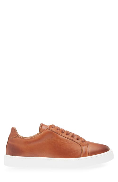 Bruno Magli Magnifico Low Top Sneaker In Cognac