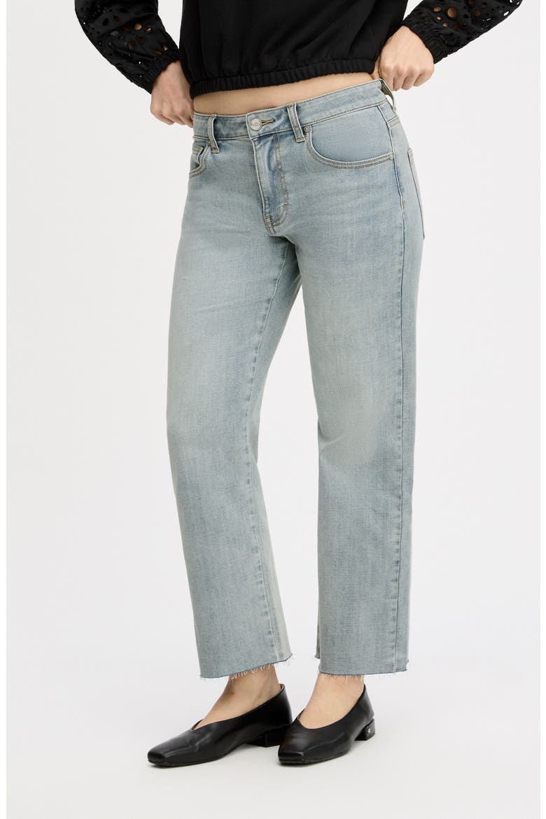 Ankle Straight Leg Jeans, Main, color, SAN DIEGO