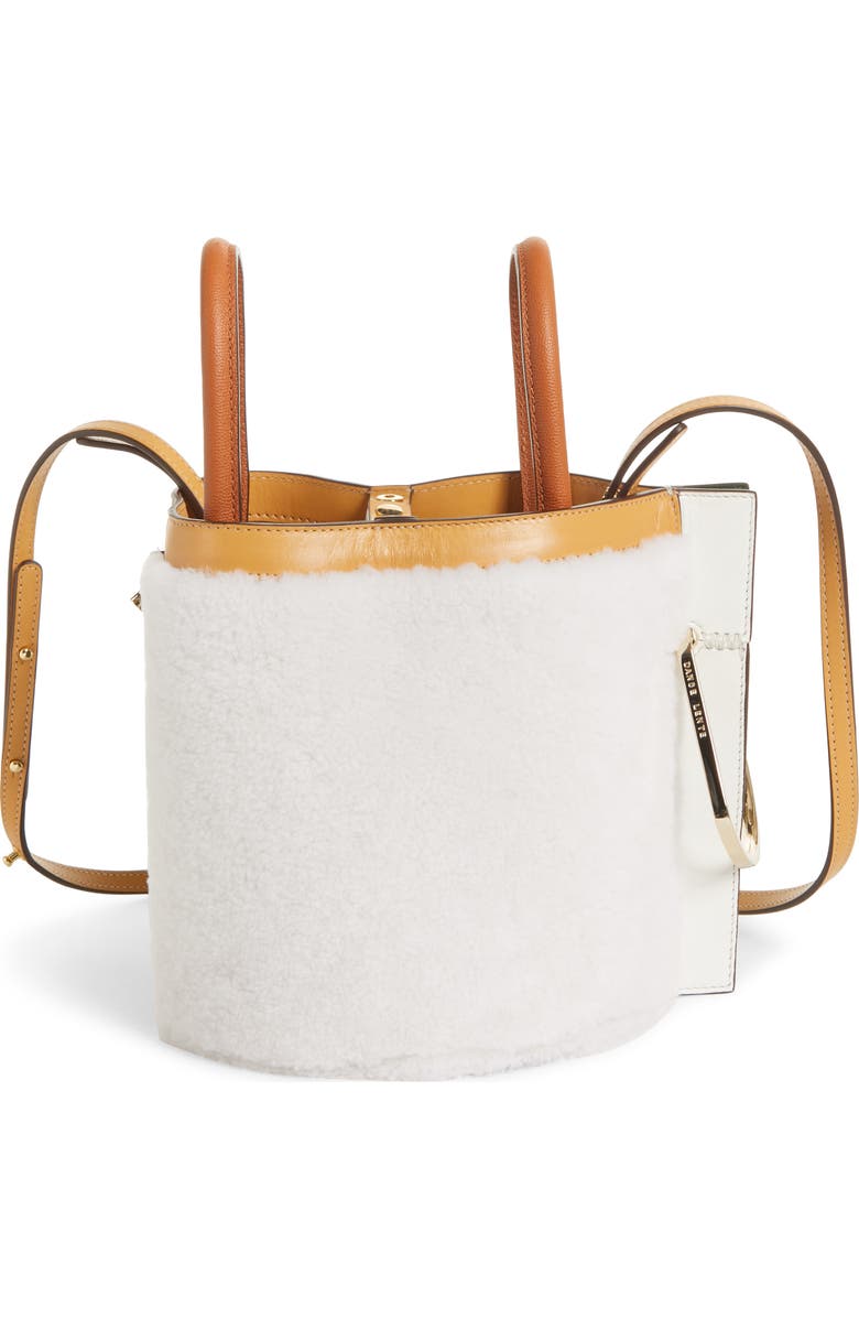 Danse Lente Bobbi Genuine Shearling Tote, Alternate, color,