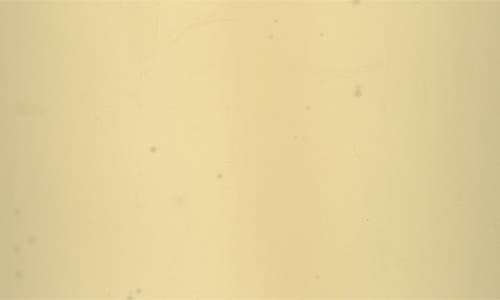 Byredo Yuzu Tree Hand Wash