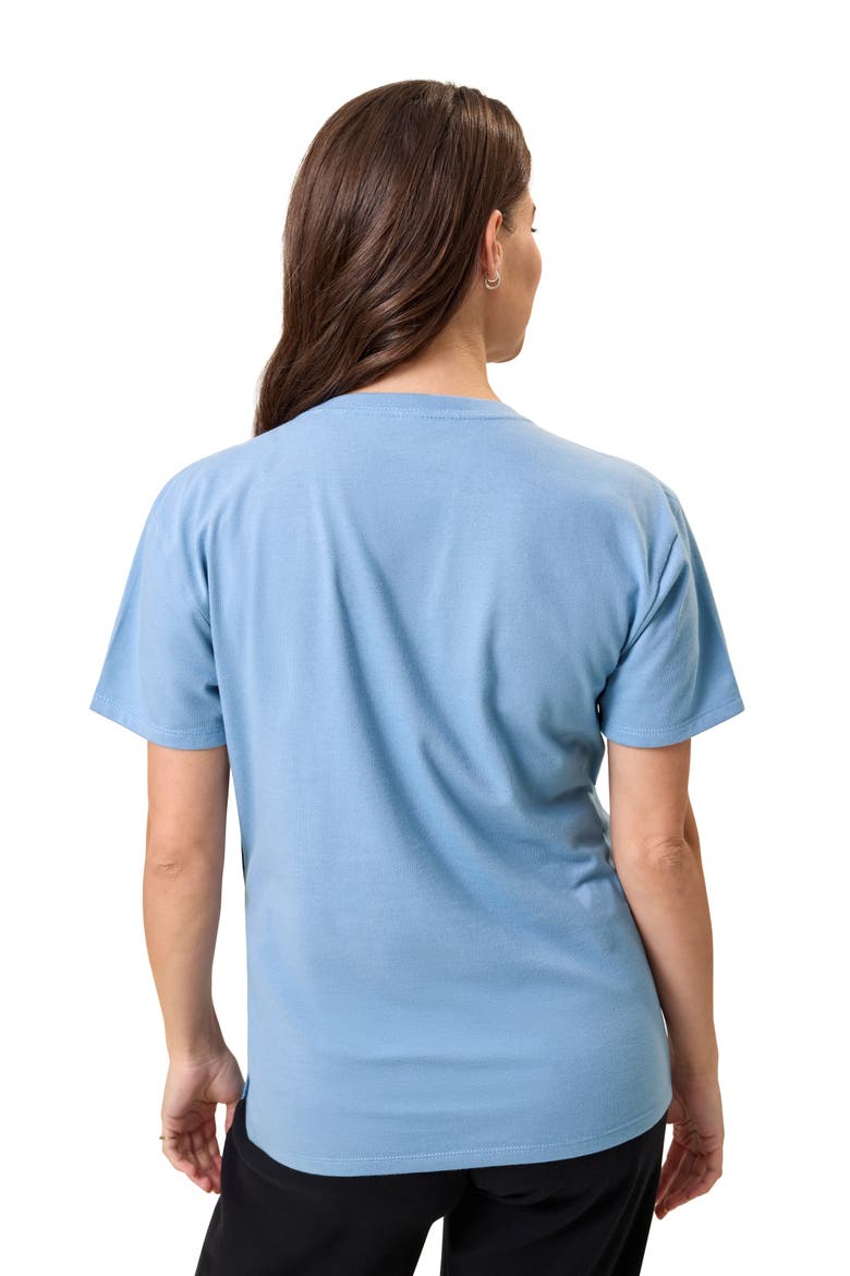 Relaxed Cotton Scoop Neck Maternity & Nursing Tee, Alternate, color, Vintage Blue
