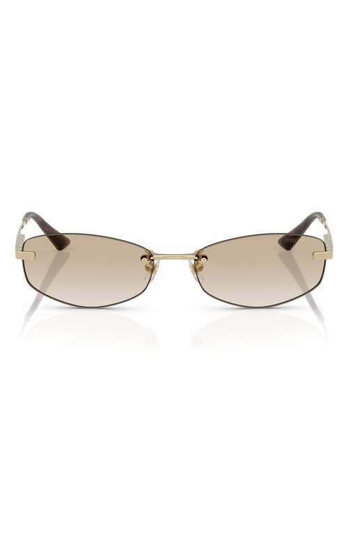 Jimmy Choo 57mm Oval Sunglasses In Pale Gold
