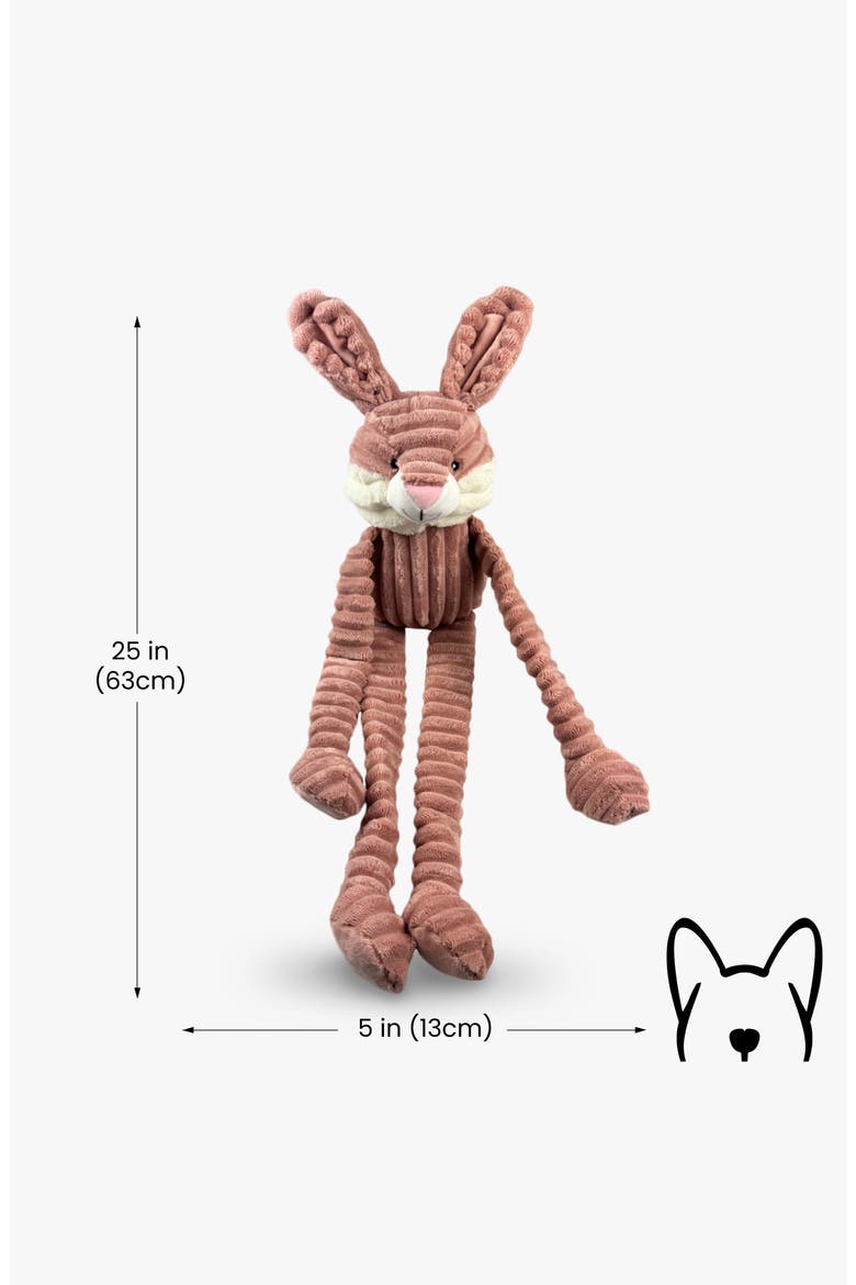 My BFF XL Plush Dog Toy, Alternate, color, Bramble the Bunny