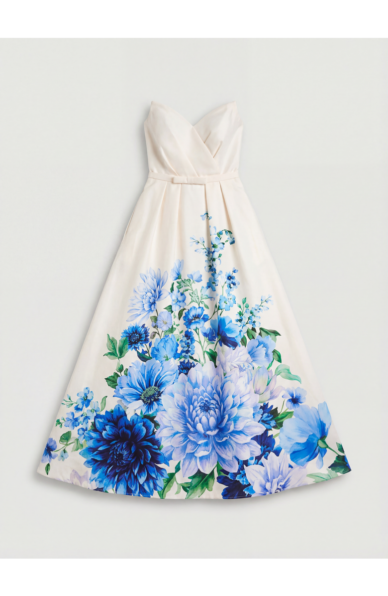 Coast Petite Bandeau Print Maxi Dress, Alternate, color, Blue
