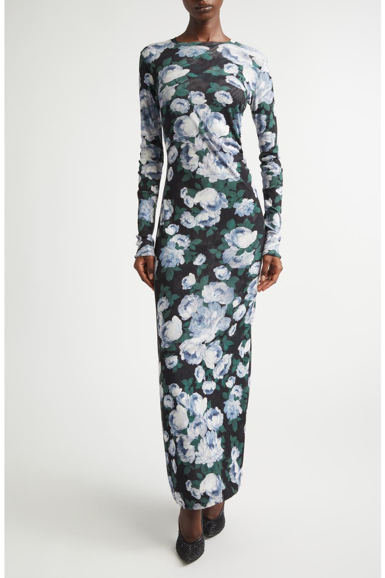 Bunch of Roses Long Sleeve Mesh Maxi Dress, Main, color, BLACK MULTICOLOR
