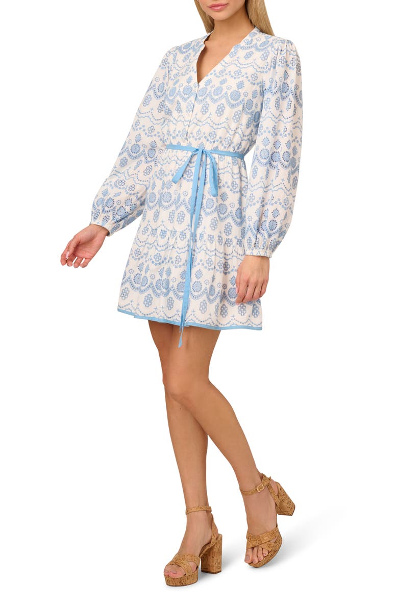 Adrianna Papell Long Sleeve Cotton Minidress, Main, color, Light Blue/ Ivory