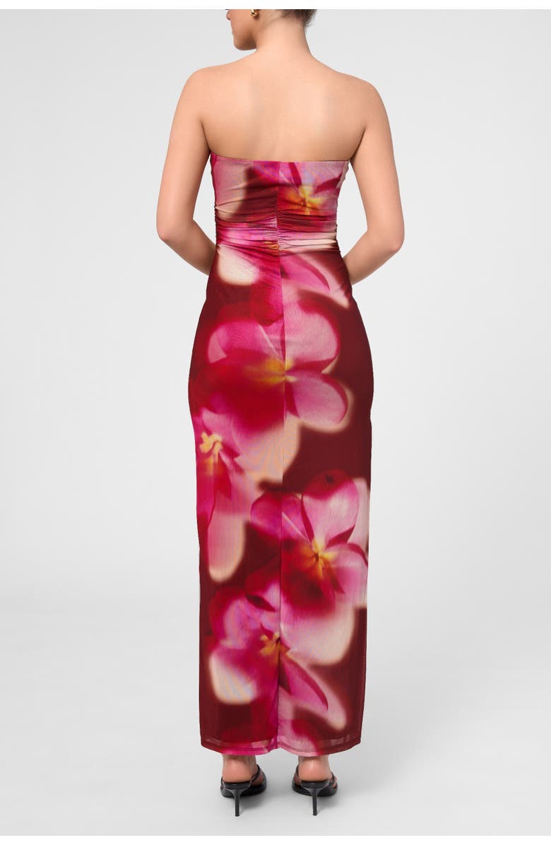 RACHEL Rachel Roy Isola Strapless Mesh Maxi Dress, Alternate, color, Dark Red