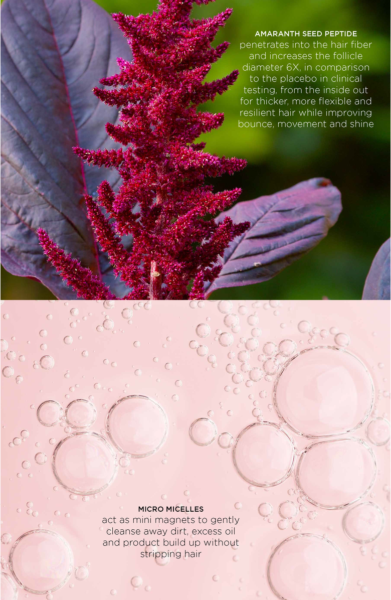 Intelligent Nutrients Amplifi-hair Micellar Shampoo, Alternate, color, 32 Oz