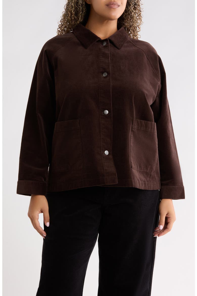 Classic Collar Corduroy Jacket, Main, color, COFFEE