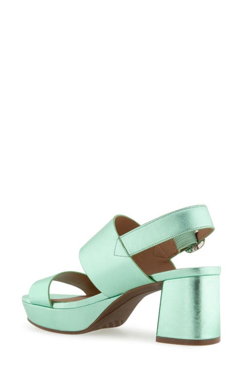 AEROSOLES AEROSOLES CAMERA PLATFORM SANDAL