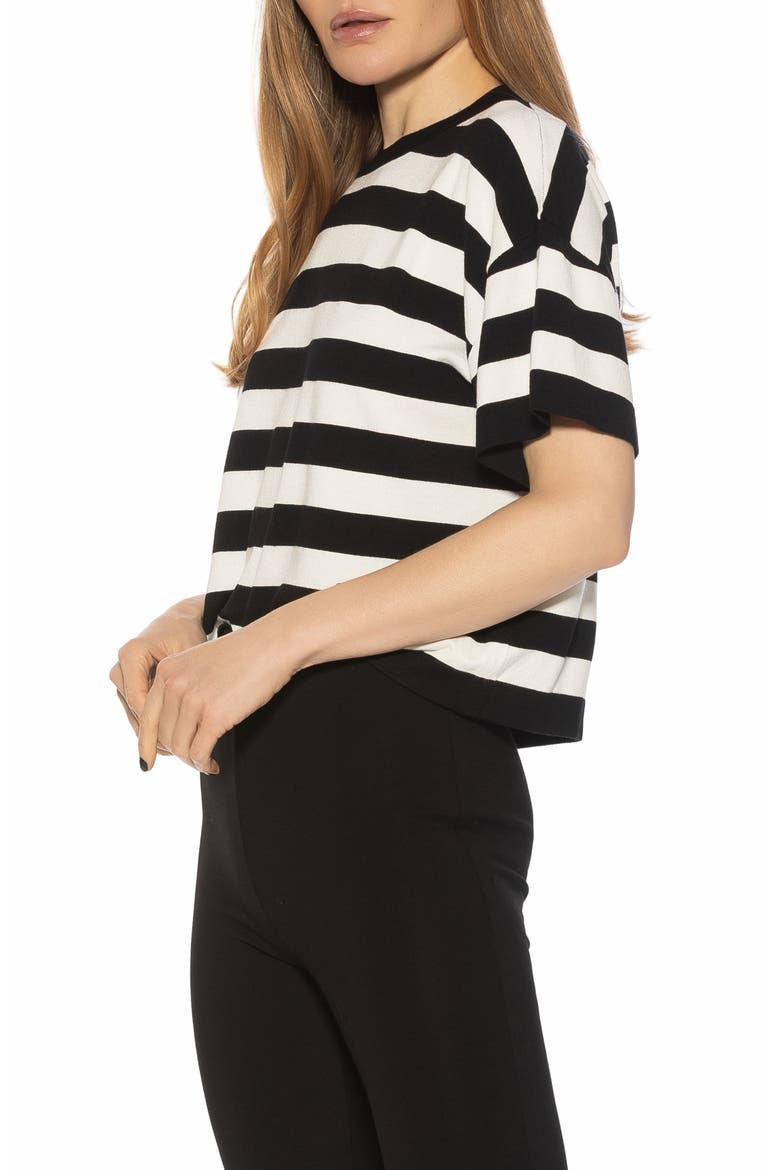 Remy Stripe Short Sleeve Top, Alternate, color, BLACK/ WHITE