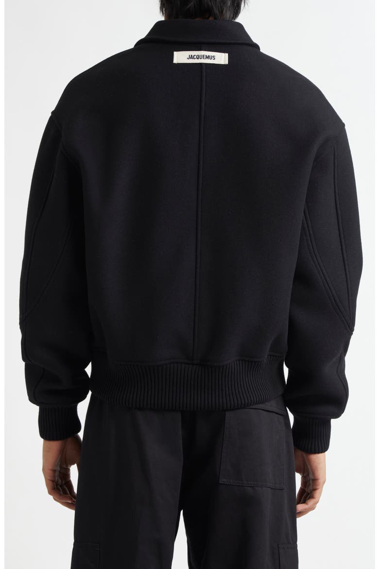 Le Feltro Bomber Jacket, Alternate, color, BLACK