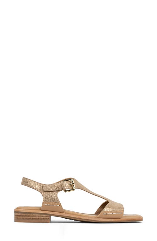 DONALD PLINER DONALD PLINER DRIA T-STRAP SANDAL 