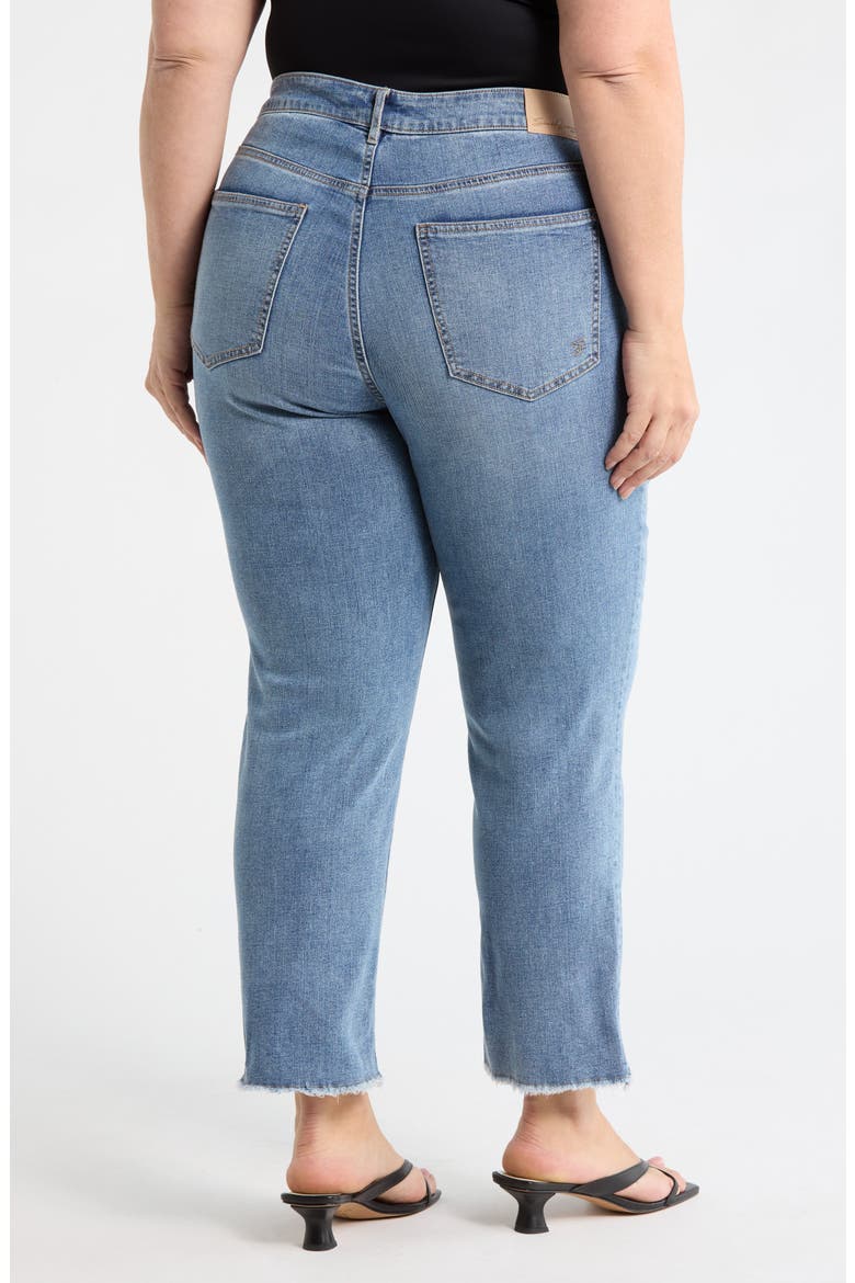 High Waist Ankle Straight Leg Jeans, Alternate, color, DESERT DUST