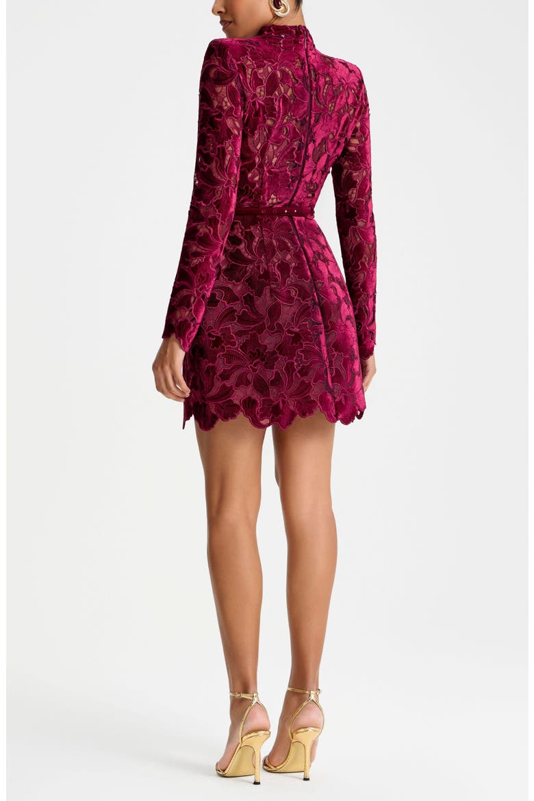 Lydia Floral Lace Long Sleeve Minidress, Alternate, color, BURGUNDY