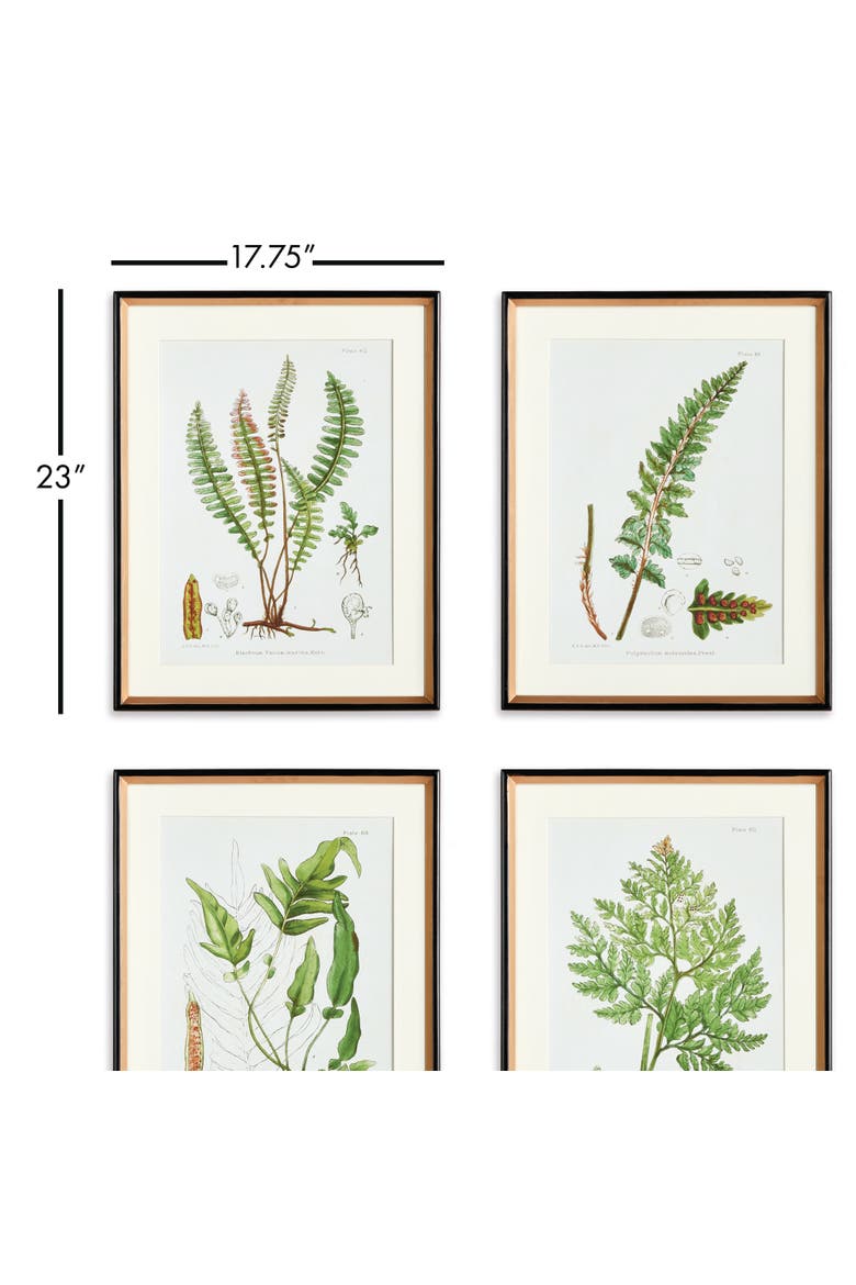 17.75" x 23" Decorative Structural Fern Botanical Study Framed Prints Set of 4, Alternate, color, Green