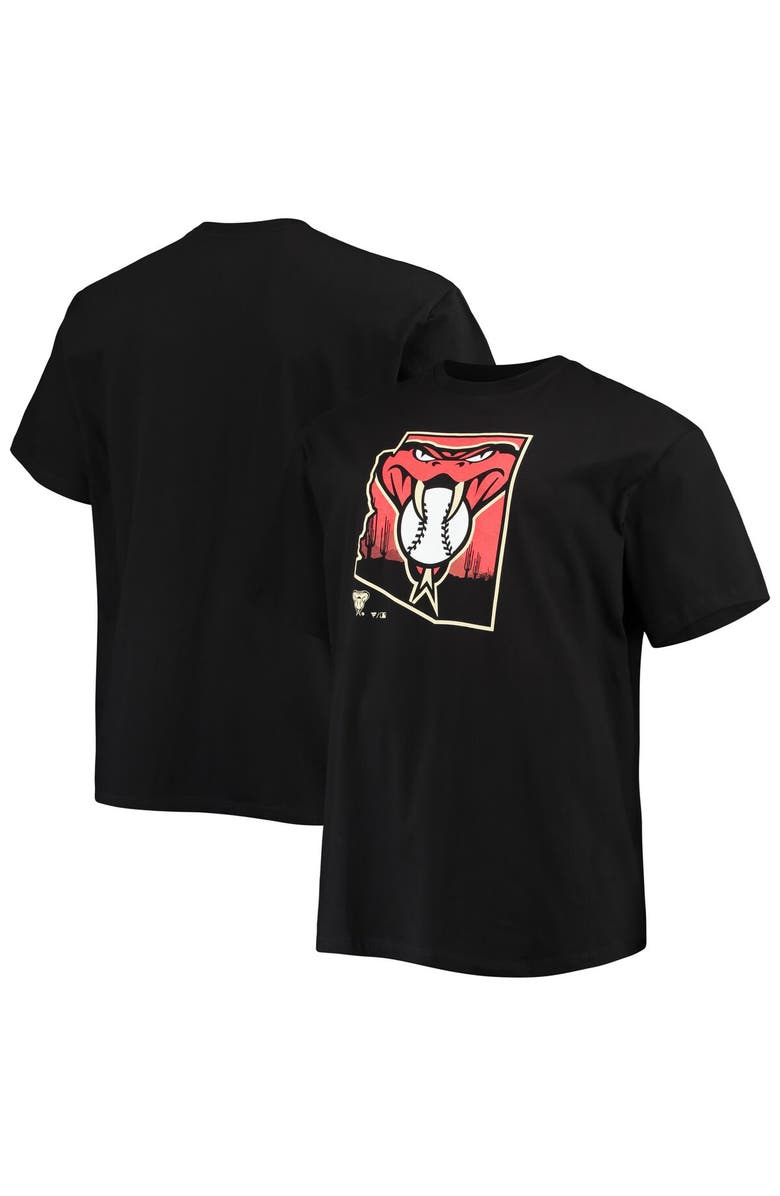 PROFILE Men's Black Arizona Diamondbacks Big & Tall Hometown Collection Baja T-Shirt, Main, color, 