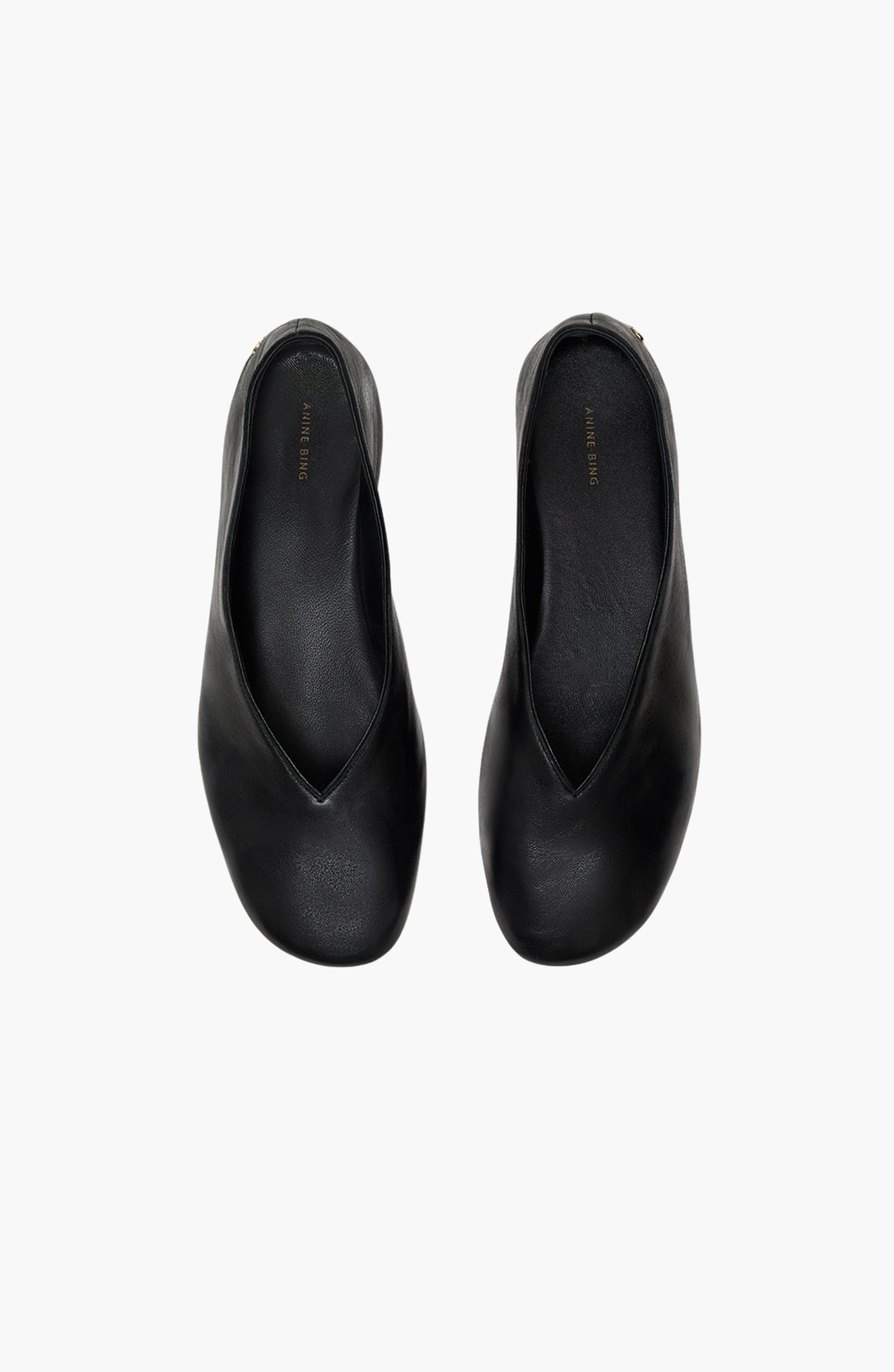 Ana Smooth Leather Flat, Alternate, color, Black