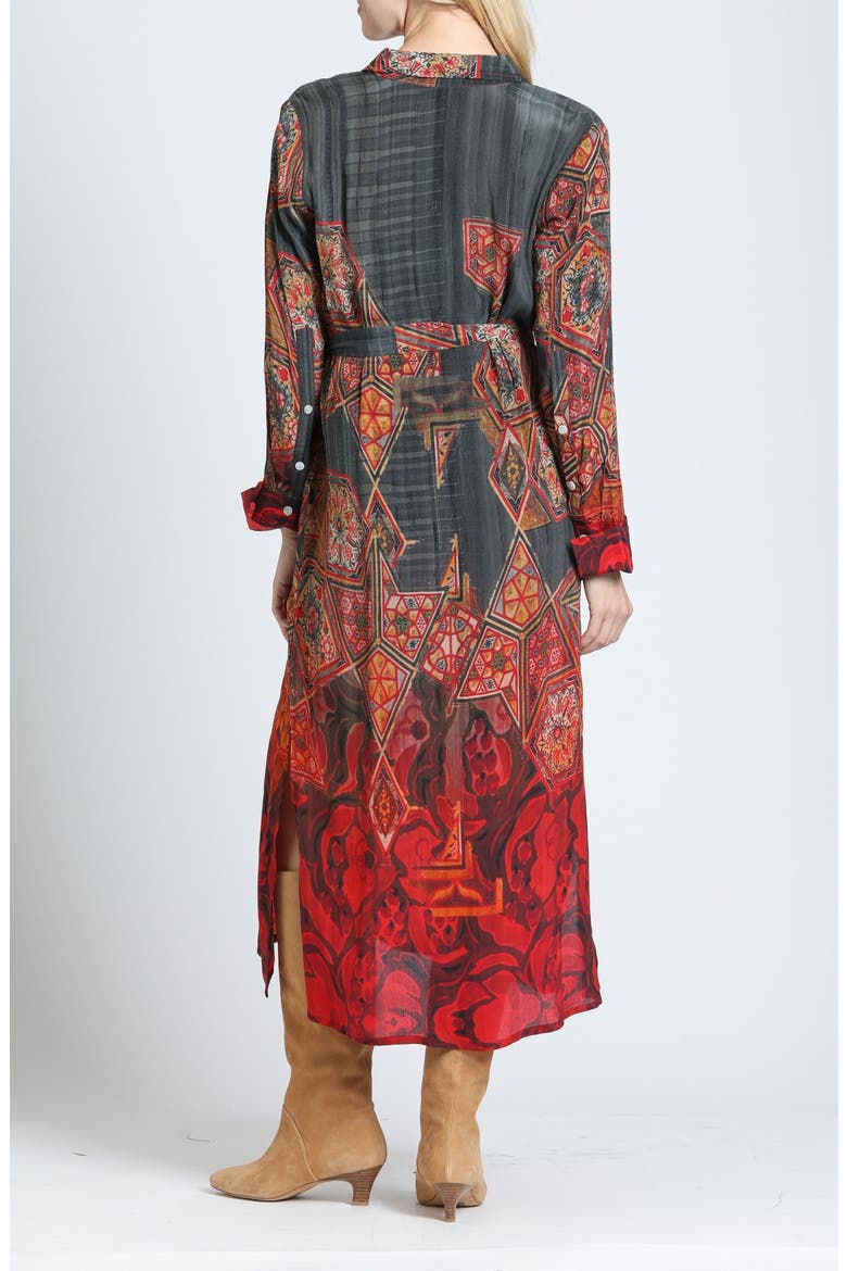 Half Placket Maxi Dress, Alternate, color, CARBON/CRIMSON SPICE