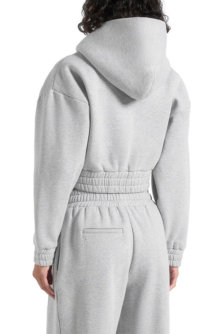 Josiane Relaxed Zip Through Hoodie, Alternate, color, Grey
