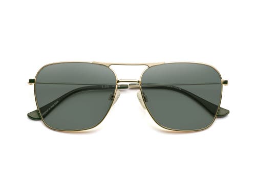 Caddis Hooper | Polarized Sunglasses In Gold