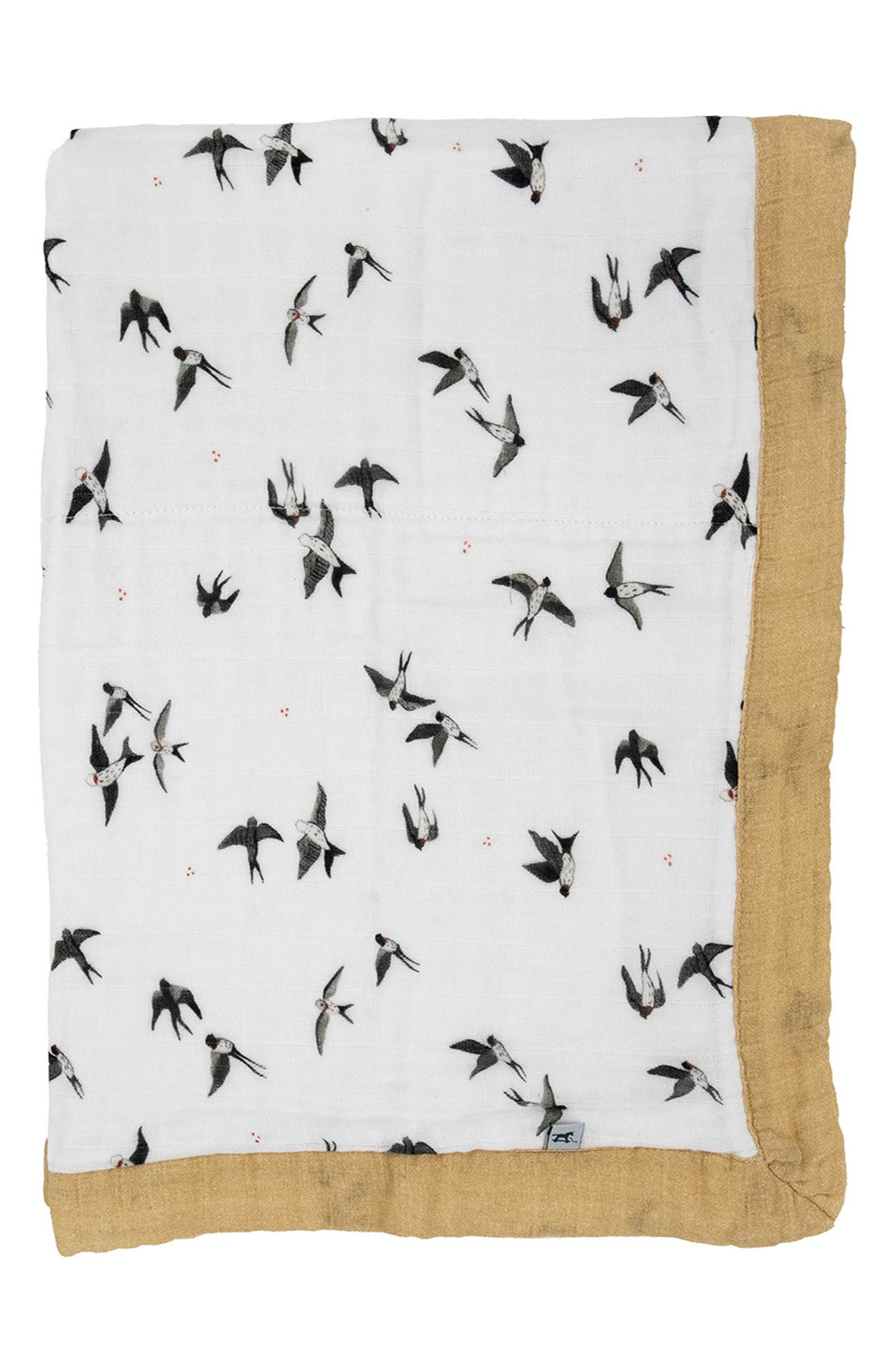 SWALLOWS