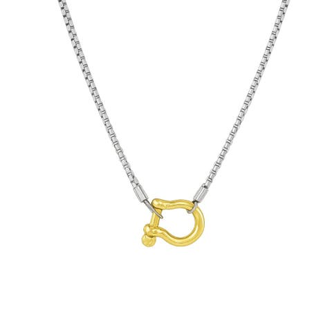 Lucky Lock Carabiner Necklace  Two-Tone Mixed Metal Horseshoe Pendant Chain