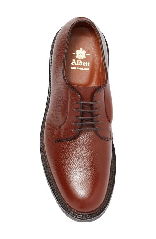 Alden Shoe Company Alden All Weather Plain Toe Derby In Brown