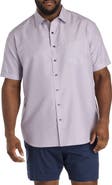 Synrgy by DXL Big & Tall Microfiber Geometric Print Sport Shirt V2