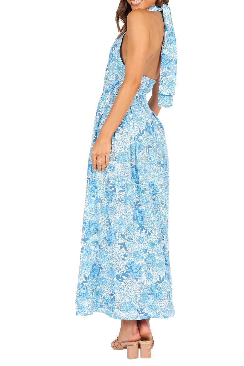 Clover Cotton Blend Maxi Dress, Alternate, color, BLUE FLORAL