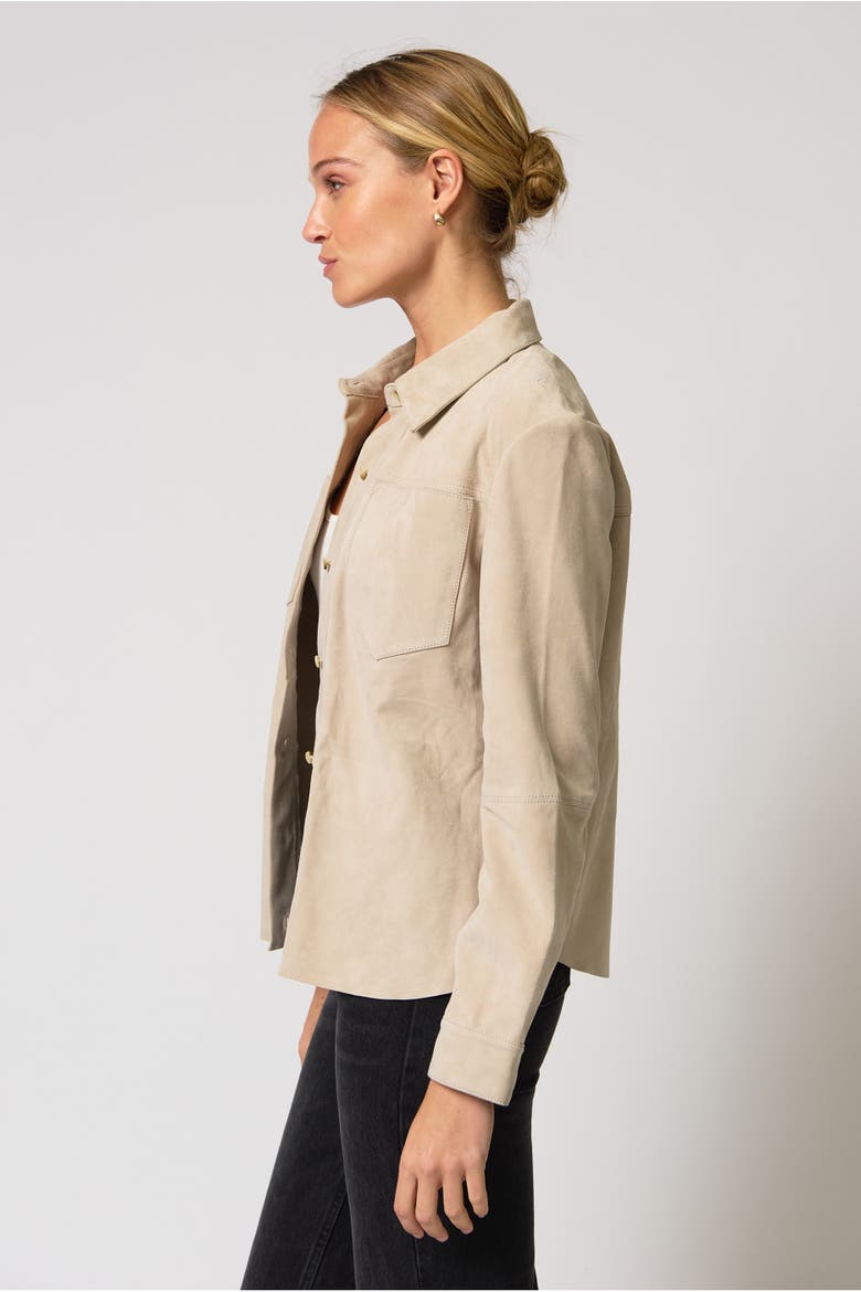 Rusty Suede Overshirt, Alternate, color, Light Beige