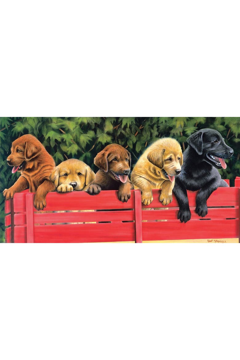 All Aboard 500 piece Jigsaw Puzzle for Adults, Alternate, color, Multicolor