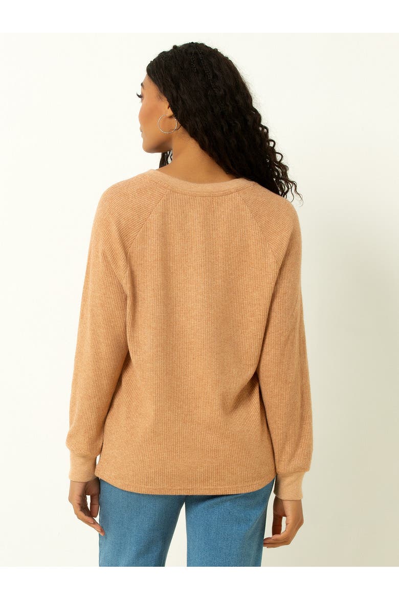Classic Ribbed V-Neck Sweater, Alternate, color, Macaroon