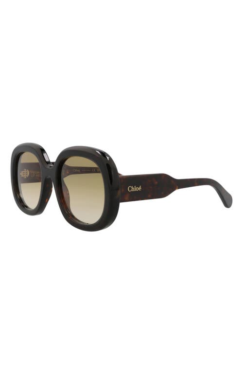 Chloé 54mm Square Sunglasses In Black
