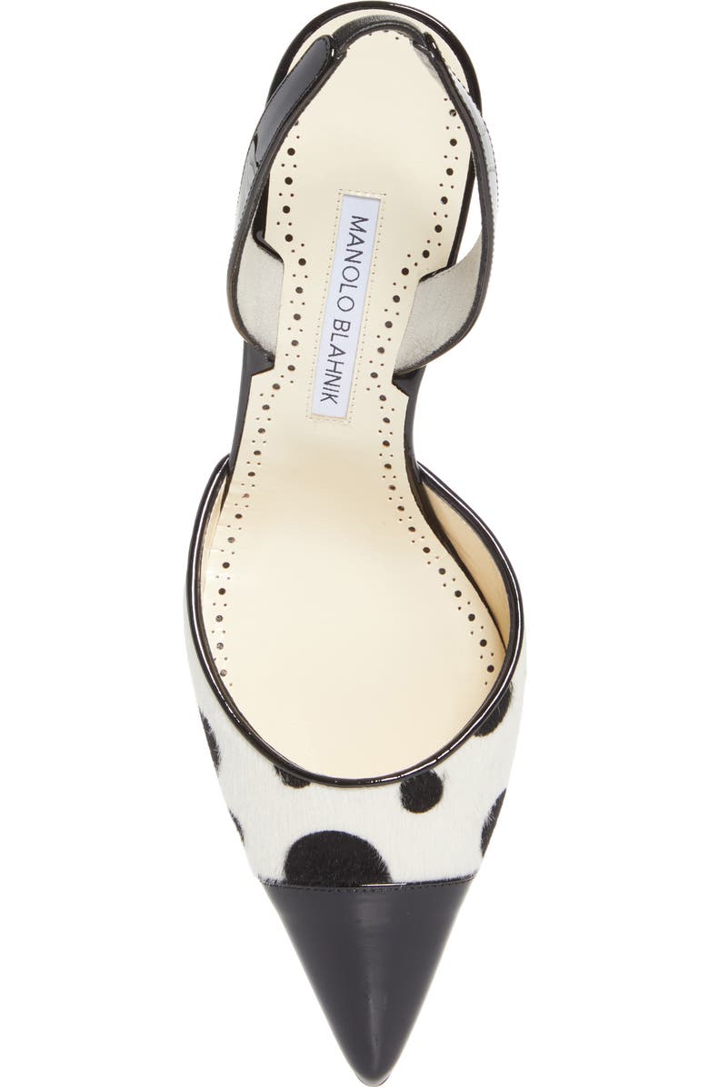 Manolo Blahnik Capsli Pointed Toe Slingback Pump, Alternate, color, Black/ White Print Calf Hair