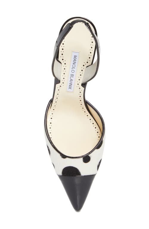 Manolo Blahnik Capsli Pointed Toe Slingback Pump