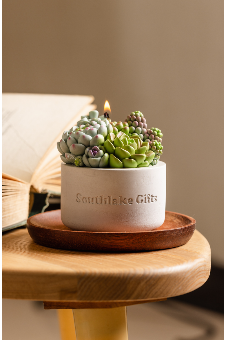 Succulent Candle in Concrete Vessel, Alternate, color, Jade / Lilac / Sage