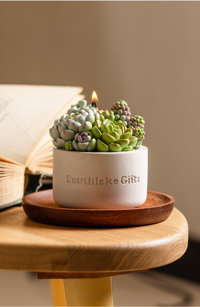 Southlake gifts Succulent Candle in Concrete Vessel, Alternate, color, Jade / Lilac / Sage