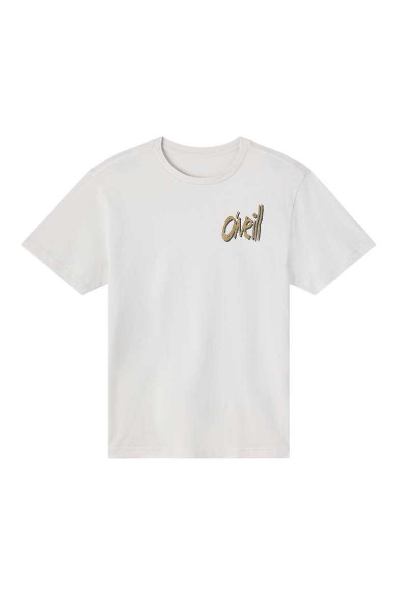 Bomb It Graphic T-Shirt, Alternate, color, ASH