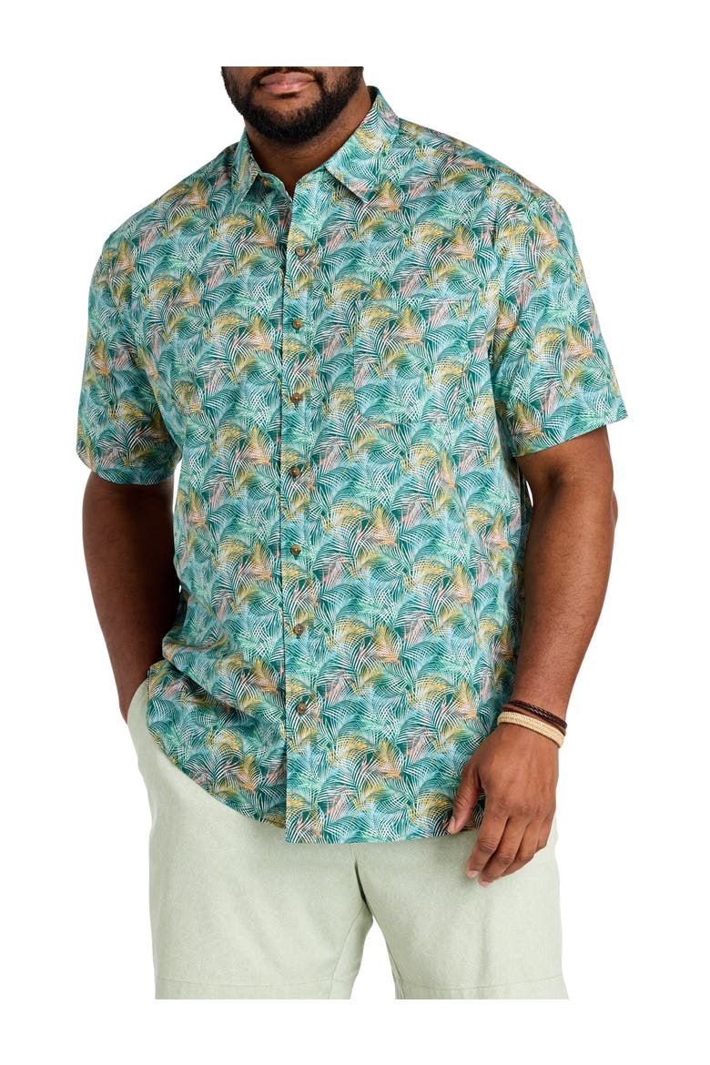 Big & Tall Palm Leaf Sport Shirt, Main, color, MULTI