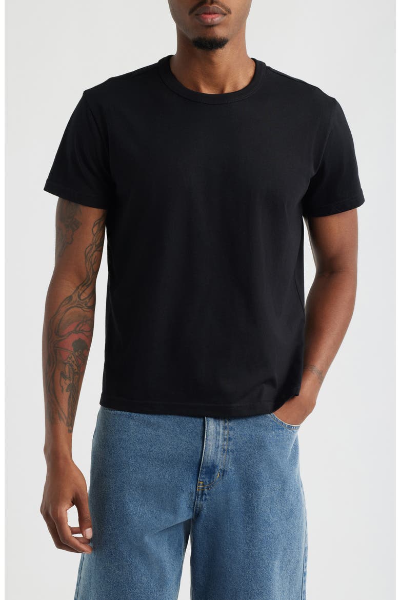 Shrunken T-Shirt, Main, color, BLACK