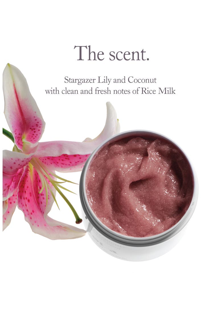 Supermochi Body Exfoliator, Alternate, color, NO COLOR