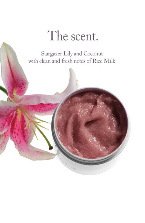 Iota Supermochi Body Exfoliator In Transparent