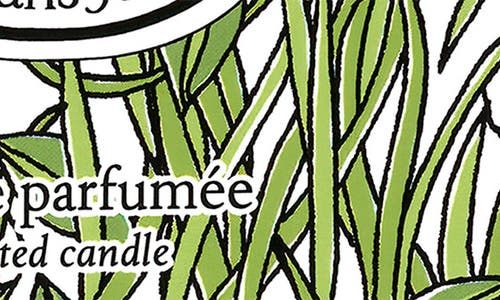 Diptyque Citronelle Classic Candle In Green