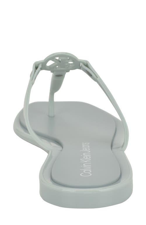 Calvin Klein Edhen Flip Flop In Light Green 331