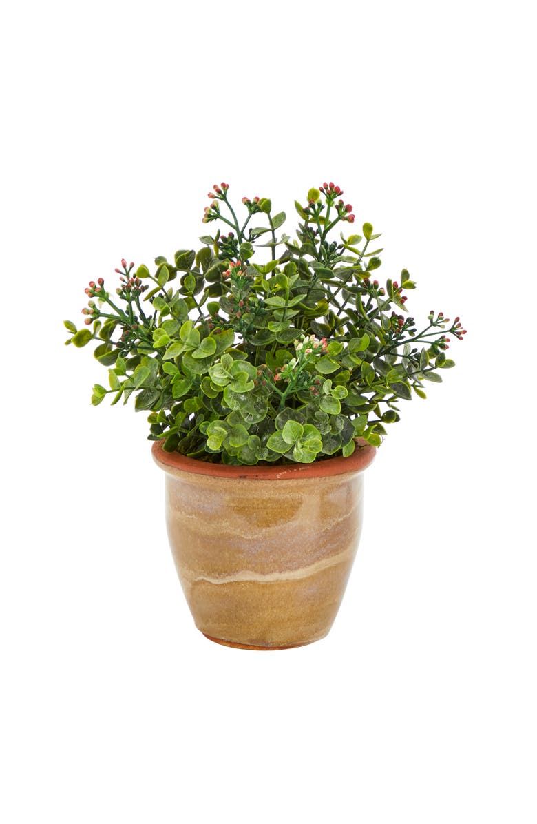NEARLY NATURAL 10-in Eucalyptus and Sedum Succulent Artificial Plant in Ceramic Planter, Main, color, Green