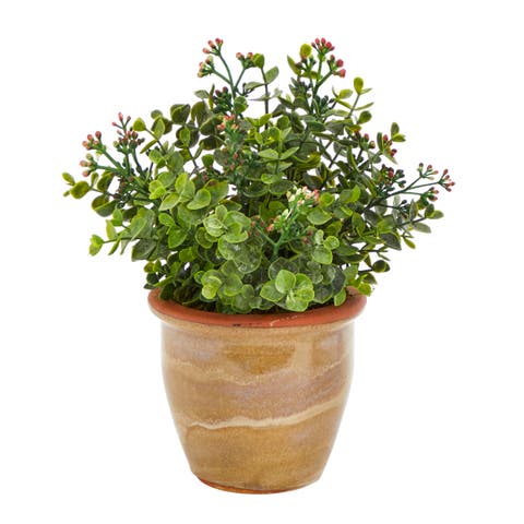 10-in Eucalyptus and Sedum Succulent Artificial Plant in Ceramic Planter